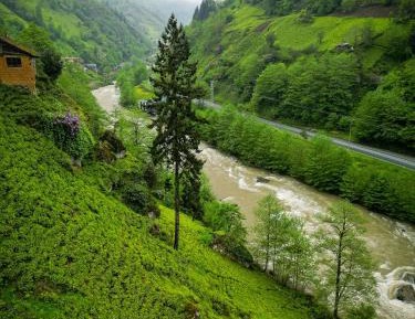 Bungalow with Sea View