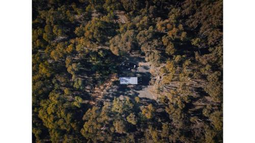Mobile Home
