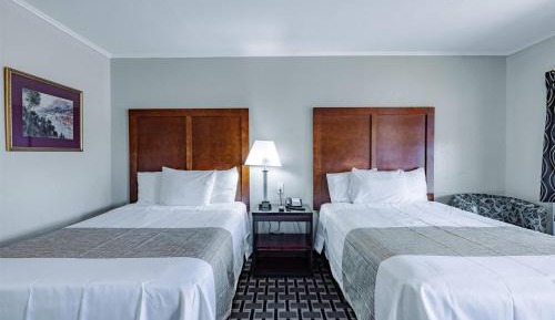 Efficiency Room with Two Double Beds - Non Smoking