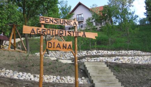 Standard Villa