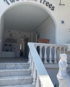 Studio with Garden View