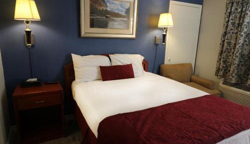Large Single Room