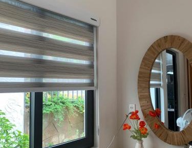 King Room with Garden View