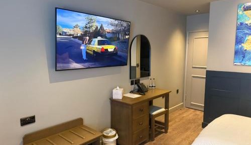 Pet Friendly Twin (Two 4ft Queen Beds)