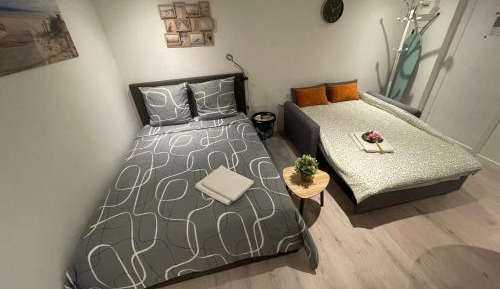 Studio with Garden View