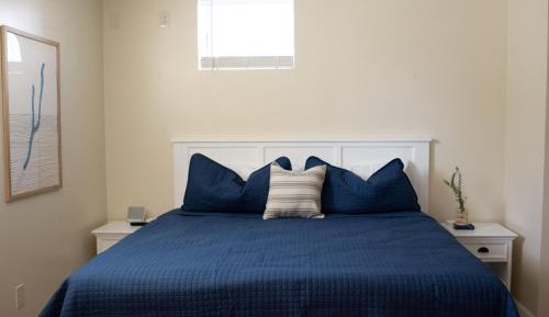 Deluxe One-Bedroom Apartment