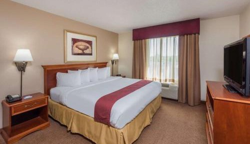 One-Bedroom Honeymoon King Suite - Non-Smoking