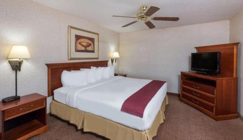 One-Bedroom Executive King Suite - Non-Smoking