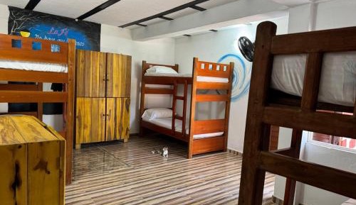 Bed in 6-Bed Mixed Dormitory Room