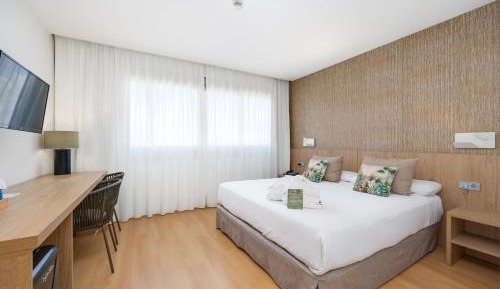 Superior Double or Twin Room with Pool View