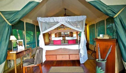 Deluxe Double Tent