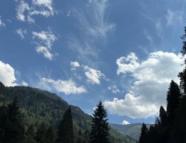 Family Room with Mountain View