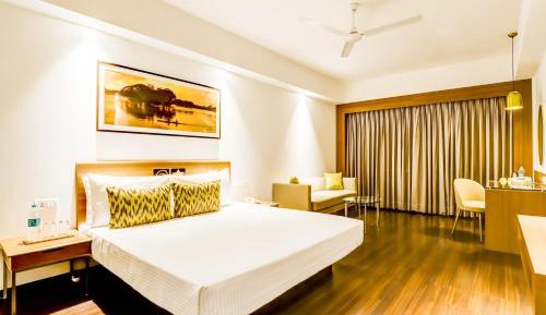 Deluxe Double Room (20% off on session of Spa ,20% Off on Laundry service and Enjoy Happy Hours with 1+1 offer)