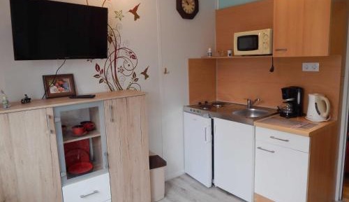 One-Bedroom Apartment with Shower