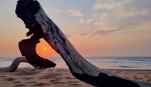 Three-Bedroom Chalet