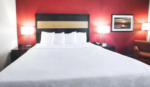 King Room - Disability Access