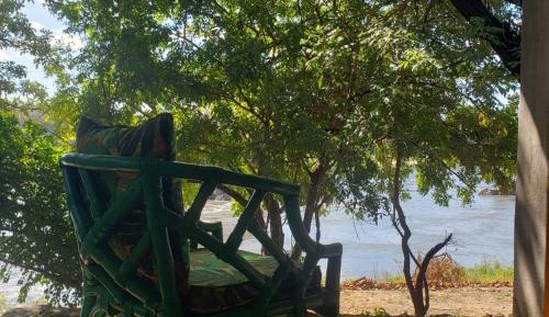 Deluxe Double or Twin Room with River View