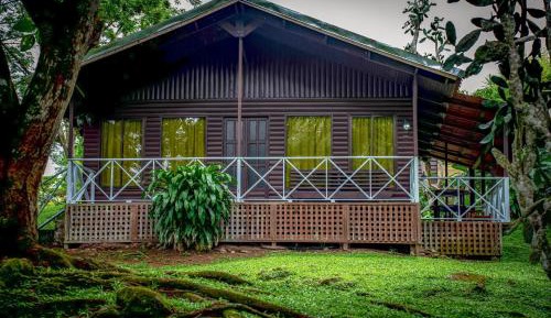 Double Room with Balcony (2 Adults + 1 Child)