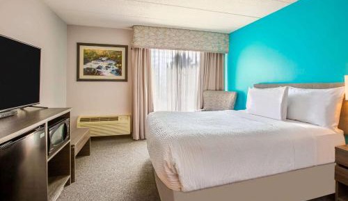 Queen Room with Roll-in Shower - Mobility Access/Non-Smoking