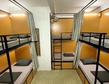 Bunk Bed in Mixed Dormitory Room
