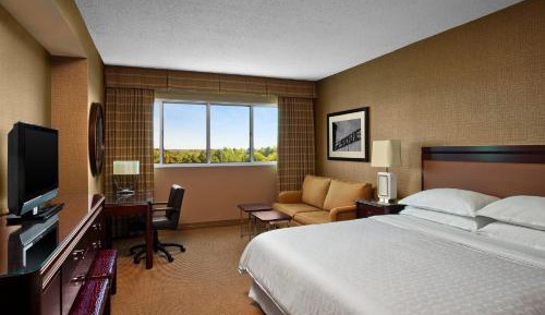 Traditional King Room with Sofa Bed - Atrium Building/Hearing Accessible