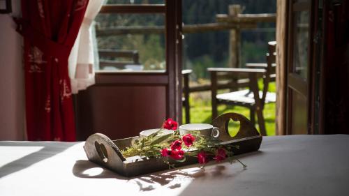 Double or Twin Room with Mountain View