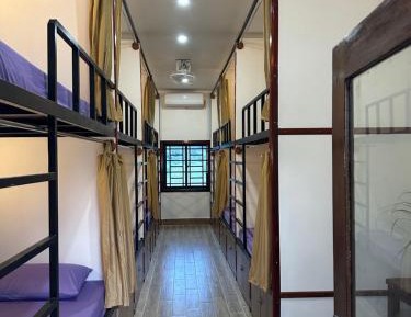 Single Bed in Mixed Dormitory Room