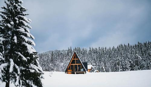 Two-Bedroom Chalet