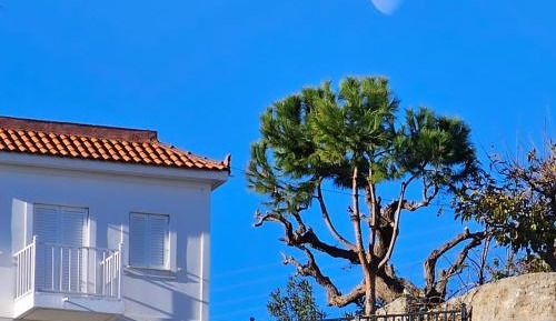 Villa with Sea View