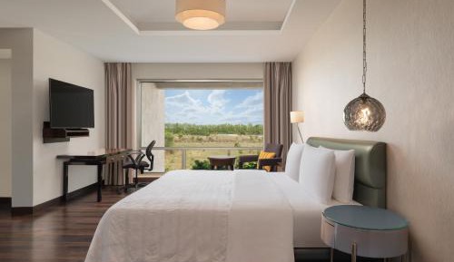 Deluxe King Room City View