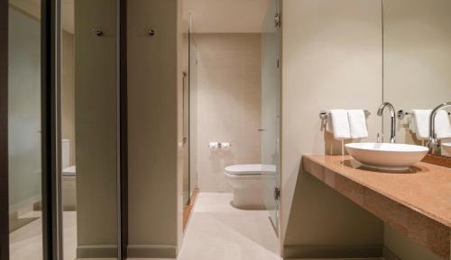 Deluxe King Suite with City View