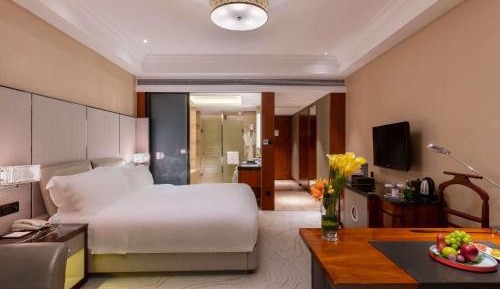 Luxury Queen Room