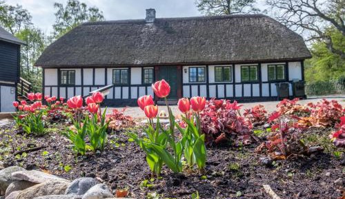 Four-Bedroom Holiday Home