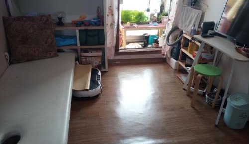 Single Bed in Mixed Dormitory Room