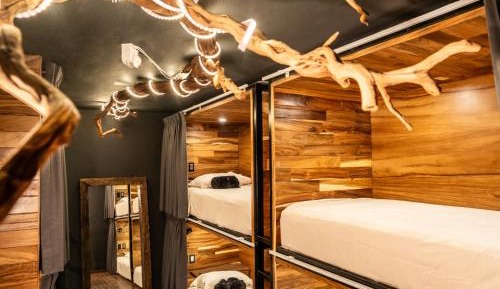 Bed in 6-Bed Mixed Dormitory Room