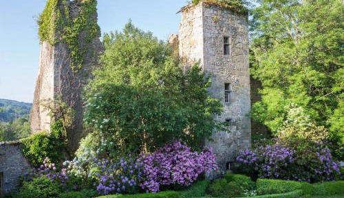 Double Room with Park View