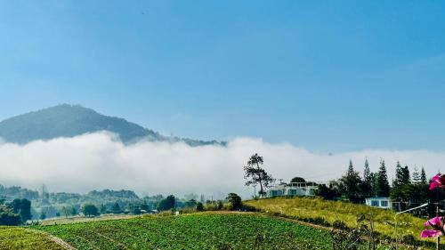 Family Room with Mountain View
