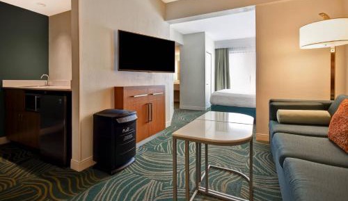 King Guest Room with Sofa Bed - Allergy Friendly