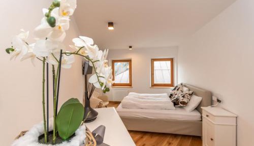 Duplex Apartment
