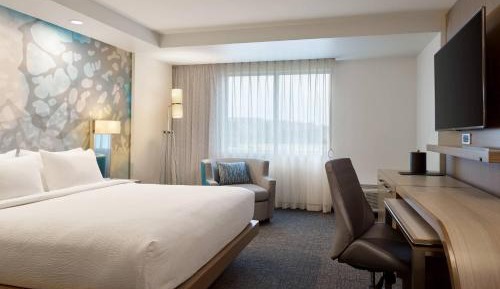 Guest room, 1 King, Sofa bed