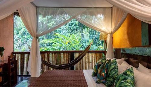 Amazon Suite