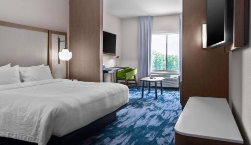 Suite, 1 King, Sofa bed