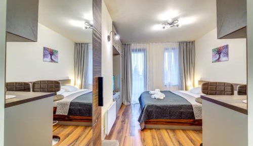 Studio Apartment
