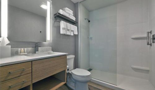 Studio, 1 King, Sofa bed