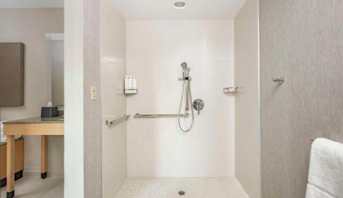 King Room with Sofa Bed and Roll-In Shower - Disability Access