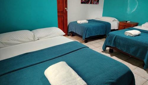 Standard Quadruple Room