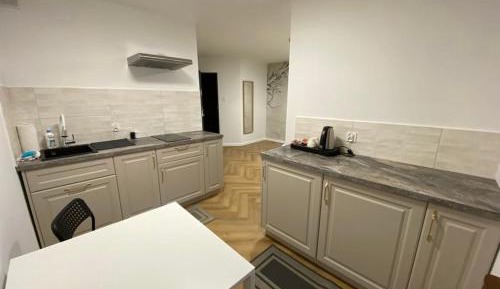 Studio Apartment with King Bed