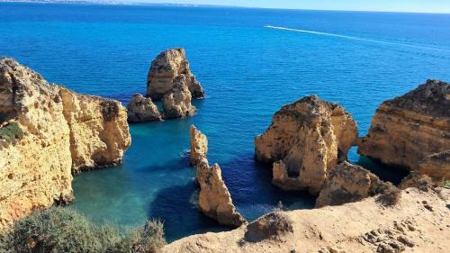 Four-Bedroom Deluxe Apartment