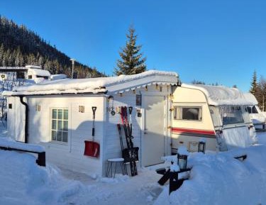 Mobile Home