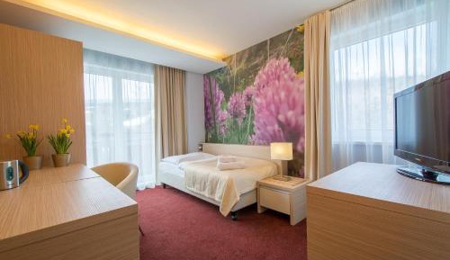 Superior Single Room